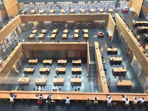 学会这 5 个技巧，iPhone  X  就能拍出和单反一样的照片