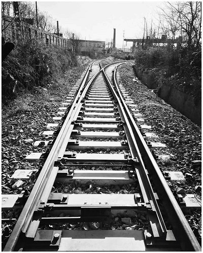 学会这 5 个技巧，iPhone  X  就能拍出和单反一样的照片