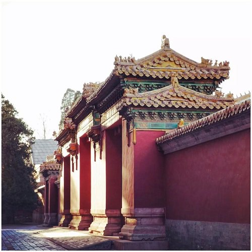 学会这 5 个技巧，iPhone  X  就能拍出和单反一样的照片