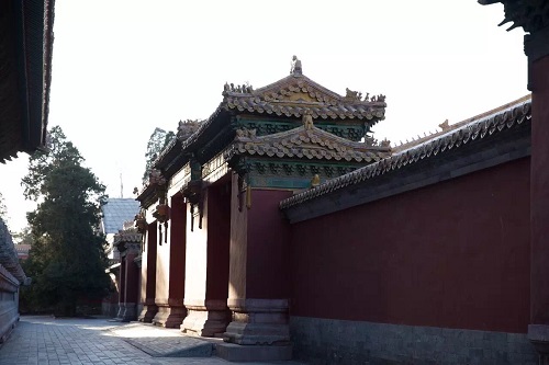 学会这 5 个技巧，iPhone  X  就能拍出和单反一样的照片