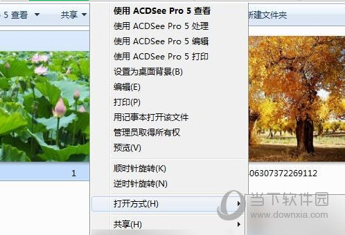 ACDSee怎么快速浏览图片文件夹