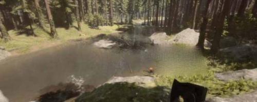 森林之子喝水攻略一览