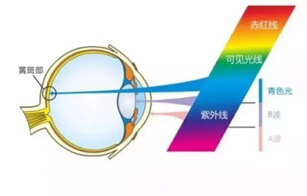 iPhone X 的 Night Shift 夜览「护眼模式」真的可以保护眼睛吗