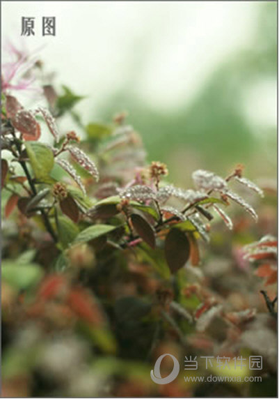 彩影制作浪漫梦境效果图文教程