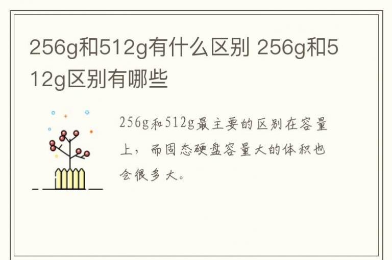 256g和512g有什么区别 256g和512g区别有哪些
