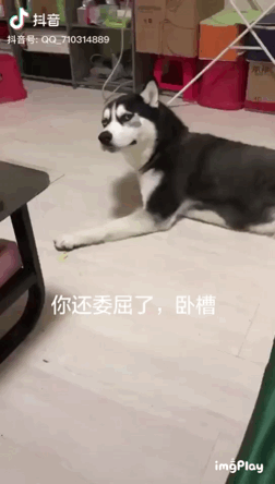 抖音号怎么运营？掌握这25个技巧