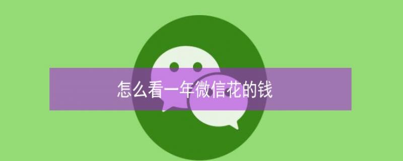 怎么看一年微信花的钱