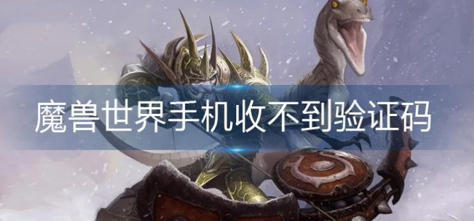 魔兽世界手机收不到验证码怎么办