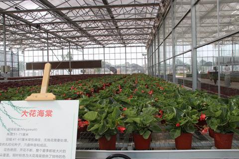 陕西高陵 从西北人民革命大学到美丽村庄