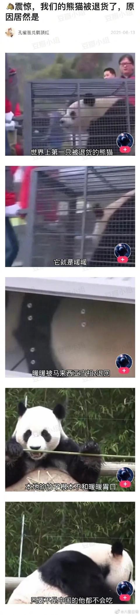 甜粽和咸肉粽要打起来了