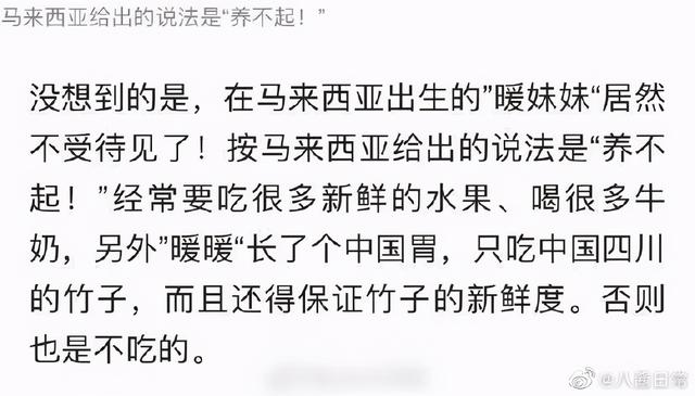 甜粽和咸肉粽要打起来了