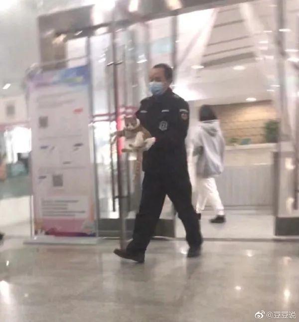 甜粽和咸肉粽要打起来了