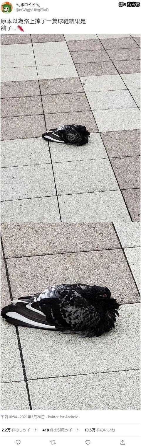 甜粽和咸肉粽要打起来了