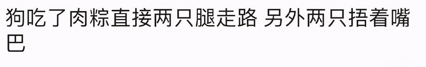 甜粽和咸肉粽要打起来了