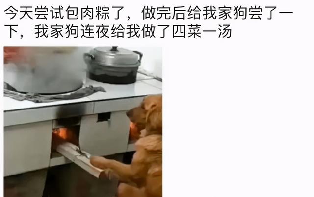 甜粽和咸肉粽要打起来了