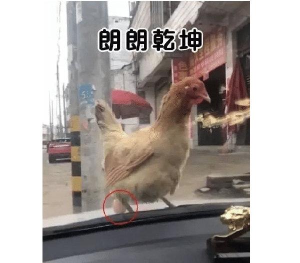 甜粽和咸肉粽要打起来了