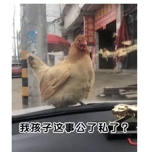 甜粽和咸肉粽要打起来了