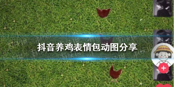 抖音养鸡表情包动图 抖音养鸡背景图分享