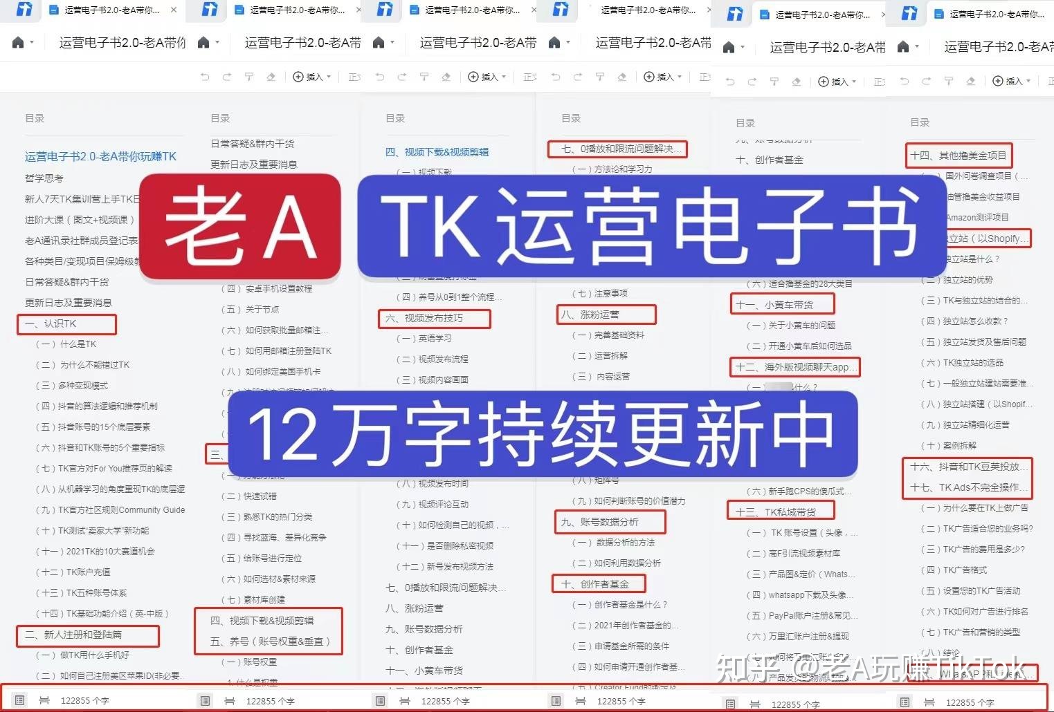 给TikTok短视频运营者布局的建议