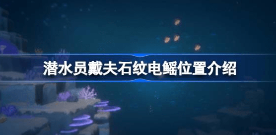 潜水员戴夫石纹电鳐在哪抓