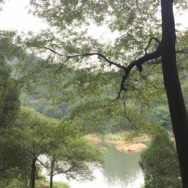 揭秘抖音营销的奥秘,打破个人账号能力瓶颈