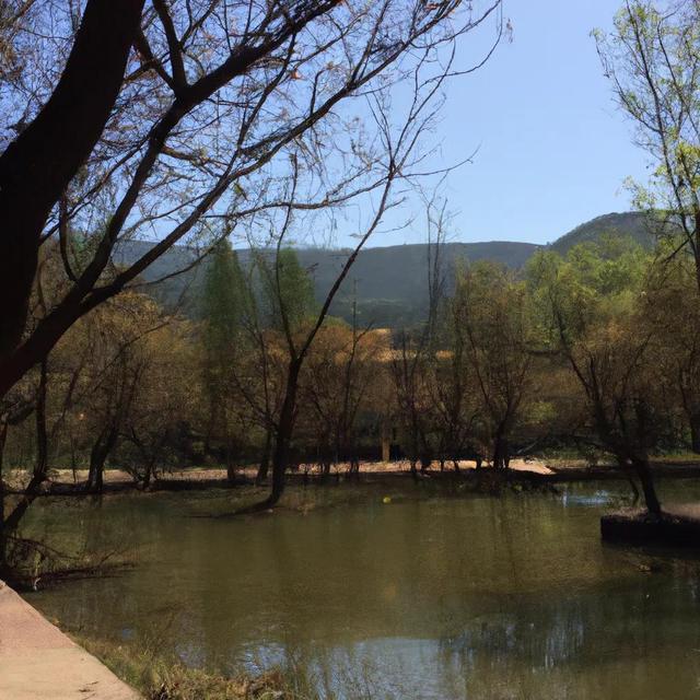 揭秘抖音营销的奥秘,打破个人账号能力瓶颈