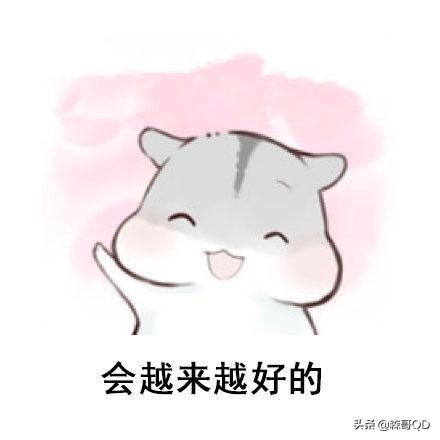 玩转抖音吸粉引流