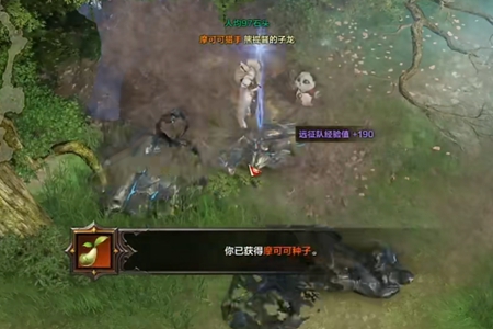 命运方舟洛恒戴尔摩可可在哪里4