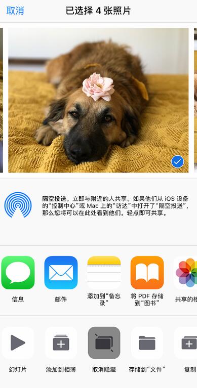 如何找回 iPhone  上丢失的照片？
