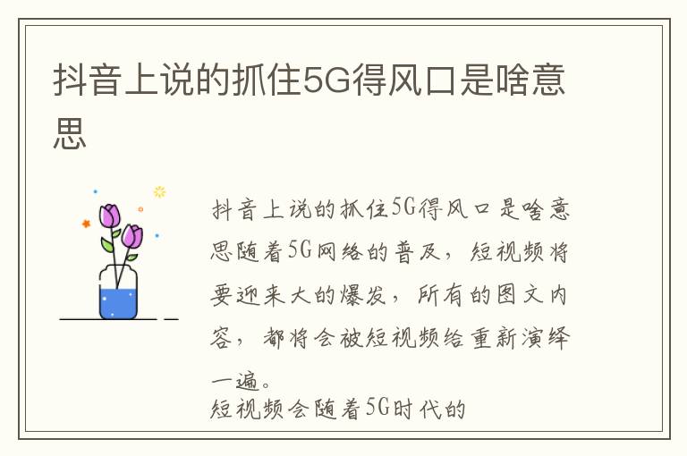 抖音上说的抓住5G得风口是啥意思
