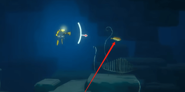 潜水员戴夫三齿鲀怎么抓