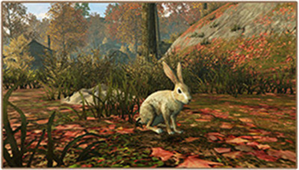 明日之后抓兔子的抓捕技巧是什么 明日之后抓兔子技巧分享