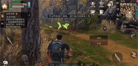 明日之后中的油菜花哪里比较多 明日之后油菜花采集地点推荐