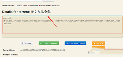 QQ旋风怎么下载种子图文教程