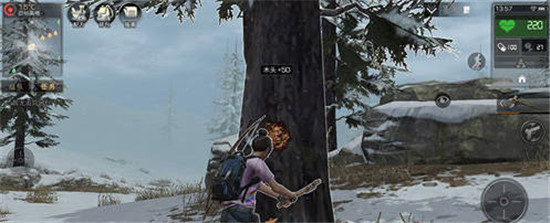 明日之后中的小树苗要怎么获得