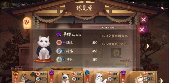 阴阳师喵缘小街猫咪怎么选 阴阳师喵缘小街满收益攻略汇总