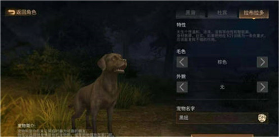 明日之后中的搜索犬有什么用 明日之后搜索犬作用介绍