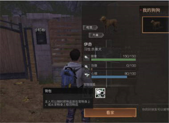 明日之后中要怎么查看宠物狗狗的信息