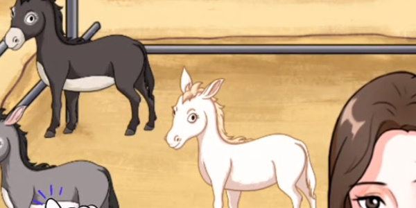 一代沙雕认养一头驴怎么过 一代沙雕认养一头驴通关攻略