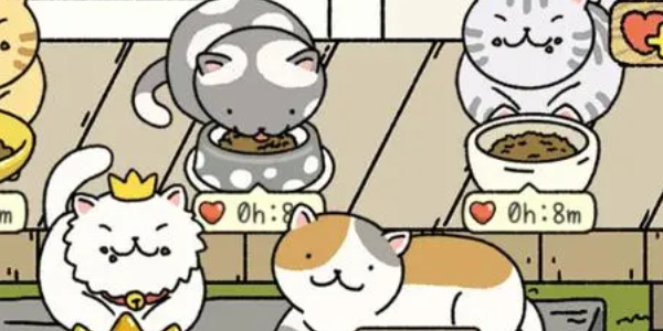 萌宅物语猫咪丢失了怎么办 萌宅物语猫咪丢失找回方法