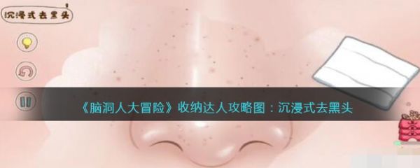 脑洞人大冒险收纳达人沉浸式去黑头怎么过 脑洞人大冒险收纳达人沉浸式去黑头通关攻略