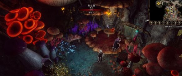 博德之门3光耀会任务全流程攻略