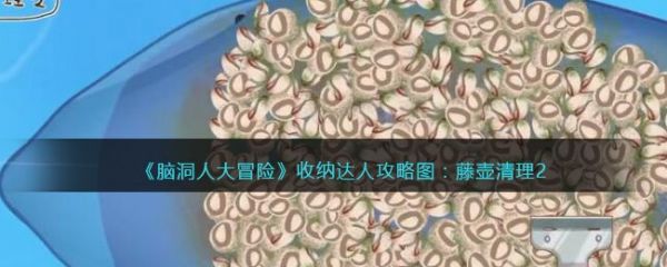 脑洞人大冒险收纳达人藤壶清理2怎么过 洞人大冒险收纳达人藤壶清理2通关攻略