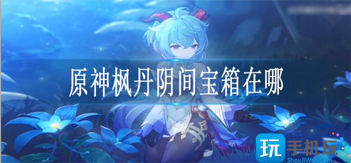 原神枫丹阴间宝箱在哪