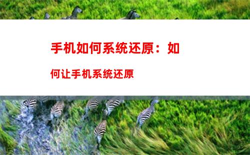 微信如何不用手机号注册(微信如何不用手机号注册新账号安卓)