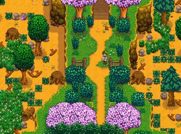 星露谷物语桃心花木怎么种