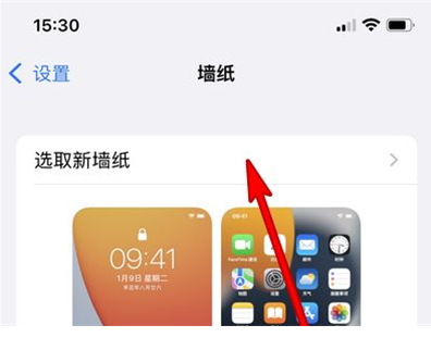 苹果13mini怎样更换壁纸主题？苹果13mini设置壁纸主题教程截图