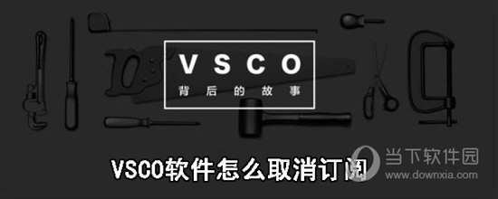 VSCO怎么取消订阅 苹果取消VSCO订阅服务步骤