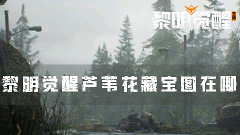 黎明觉醒芦苇花藏宝图在哪 宝藏位置坐标