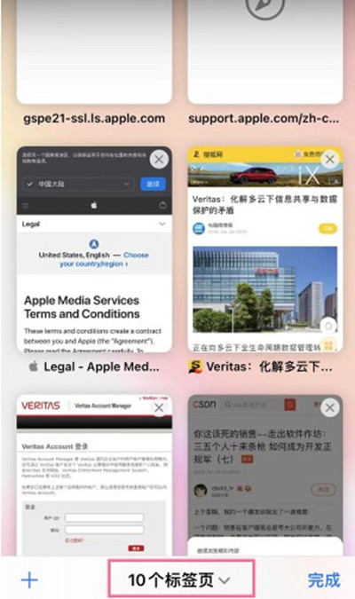 ios15系统自带浏览器怎么开启无痕浏览？ios15系统自带浏览器开启无痕浏览模式方法截图
